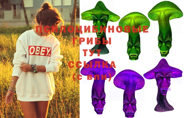PSILOCYBIN Арсеньев