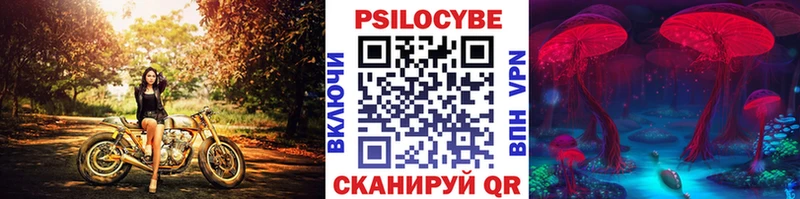 Галлюциногенные грибы прущие грибы  купить   Гудермес 
